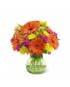 The FTD Because You're Special Bouquet The FTD Because You're Special Bouquet